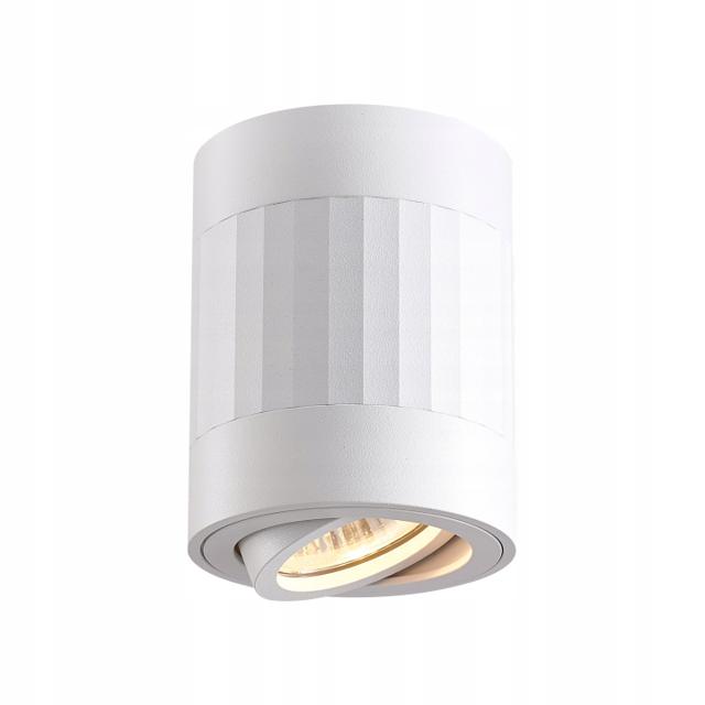 Oprawa natynkowa reflektor sufitowy LOFT RUBIN PASKI 1xGU10 10cm biały